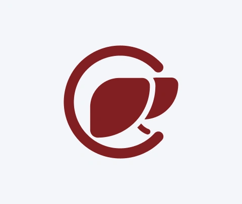 website App